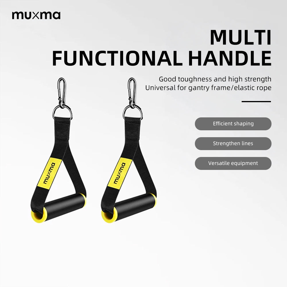 Multifunctional handle
